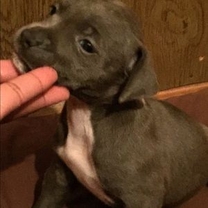 Meet your Posher, James